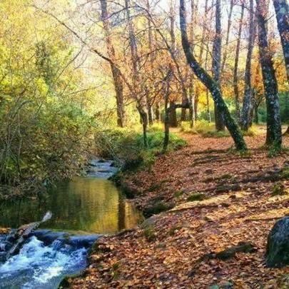 Casa La Vega Pension El Bosque Buitenkant foto